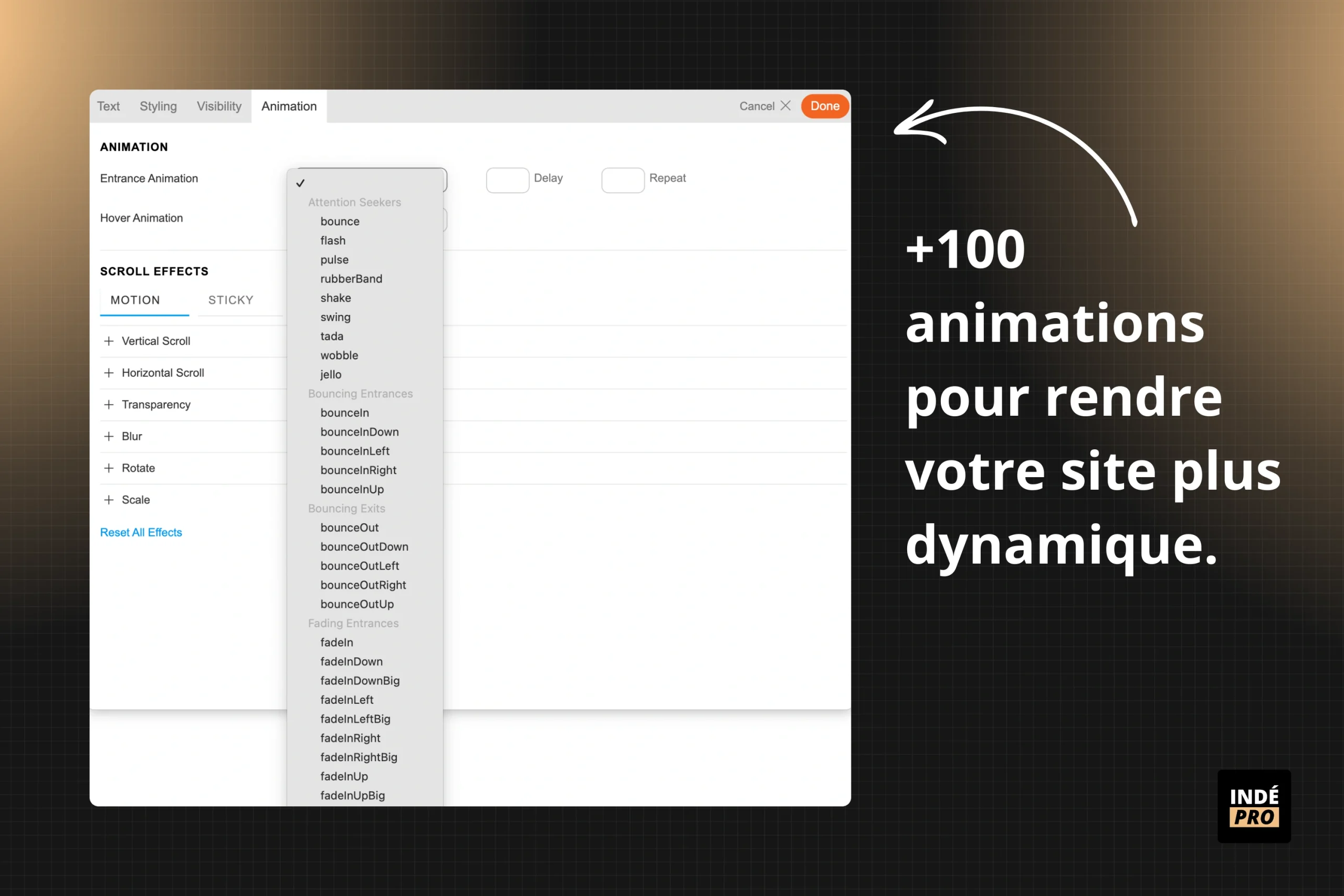 Les animations sur Themify Ultra